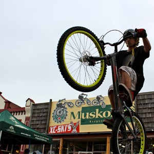 bike pro shop springfield
