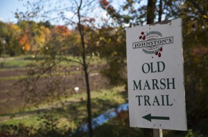 marsh trails sign