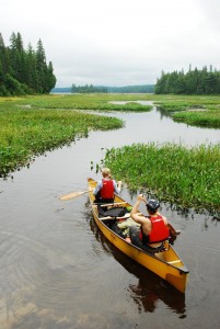 West side of Algonquin Park