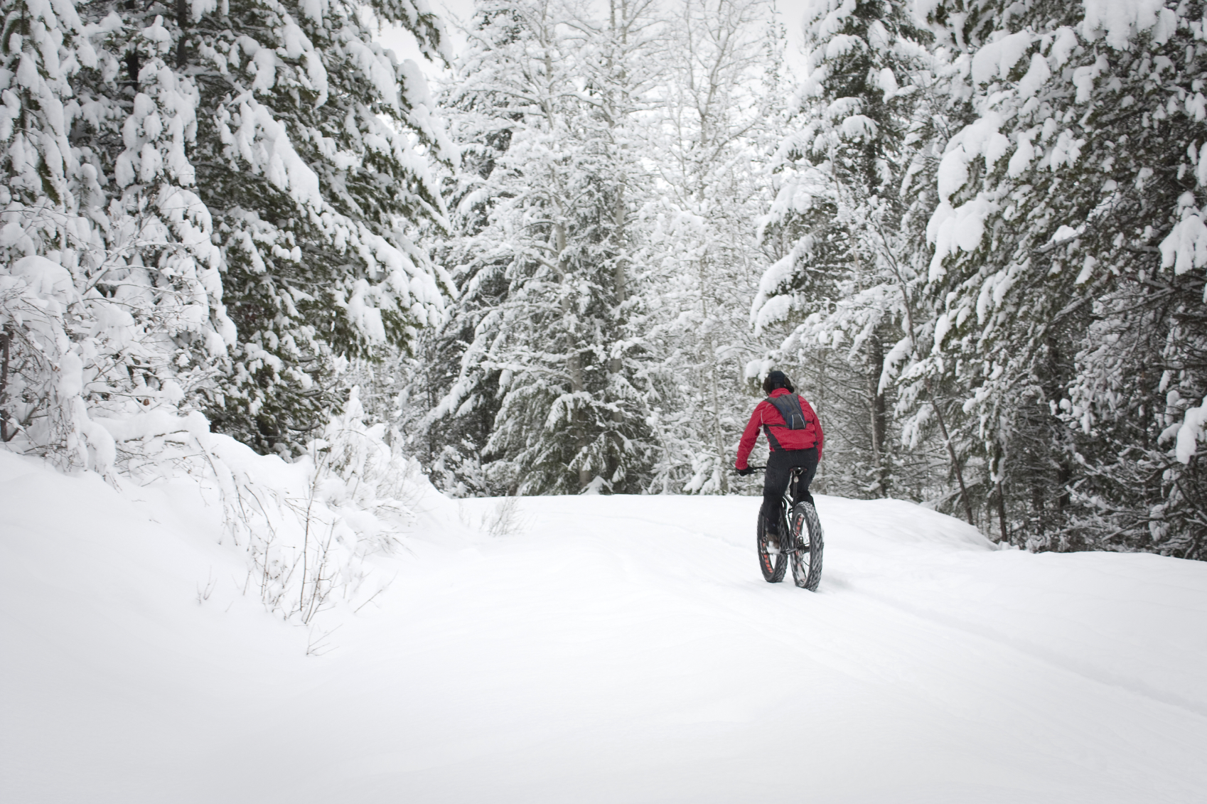 Winter Fat Biking: Pedal All Year Long in Cottage Country