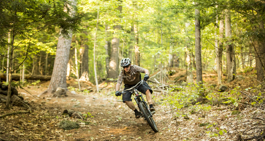 Guided Mountain Biking Tours In Whistler, BC 57hours, 47% OFF