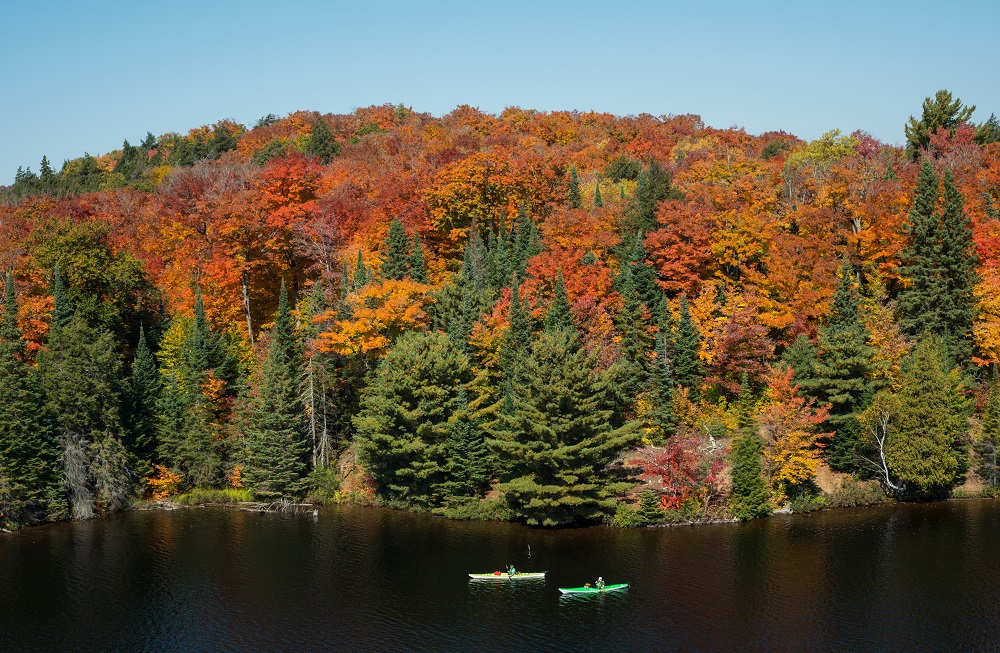 AlgonquinFall2014_fall padlding AP