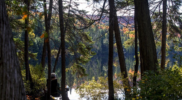 tranquility in Algonquin