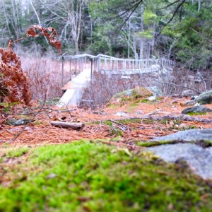 Hardy Lake Landscape 2