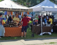 Art in the Park parry sound