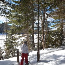 peck-lake-algonquin-park-feb-2015