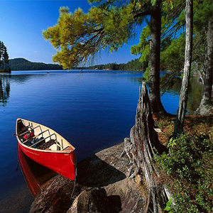 Art Exhibit: Dancing Canoe and Uzma's Art - The Great Canadian Wilderness