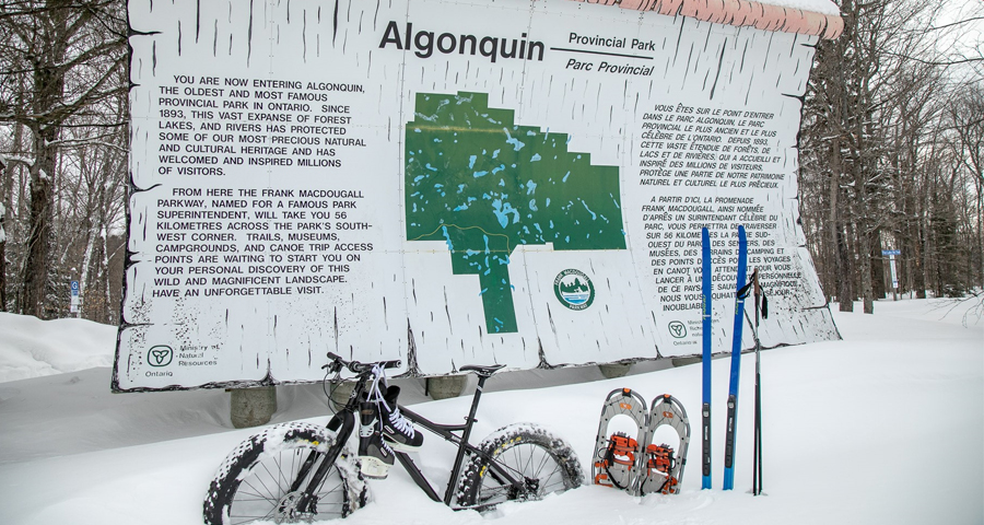 Algonquin park hotsell ski trails