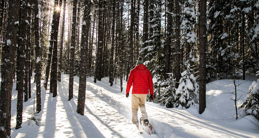 Algonquin park ski clearance trails