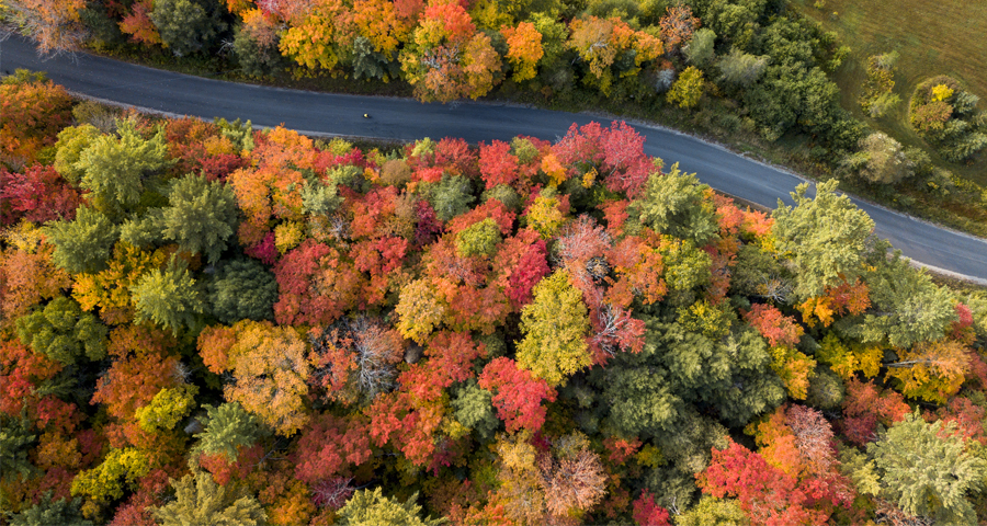 Best algonquin trails 2025 for fall colours