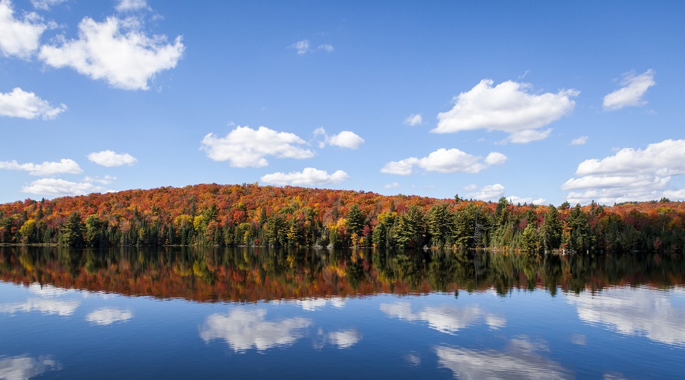 Top 14 Places to View Fall Colours (Besides Algonquin Park)