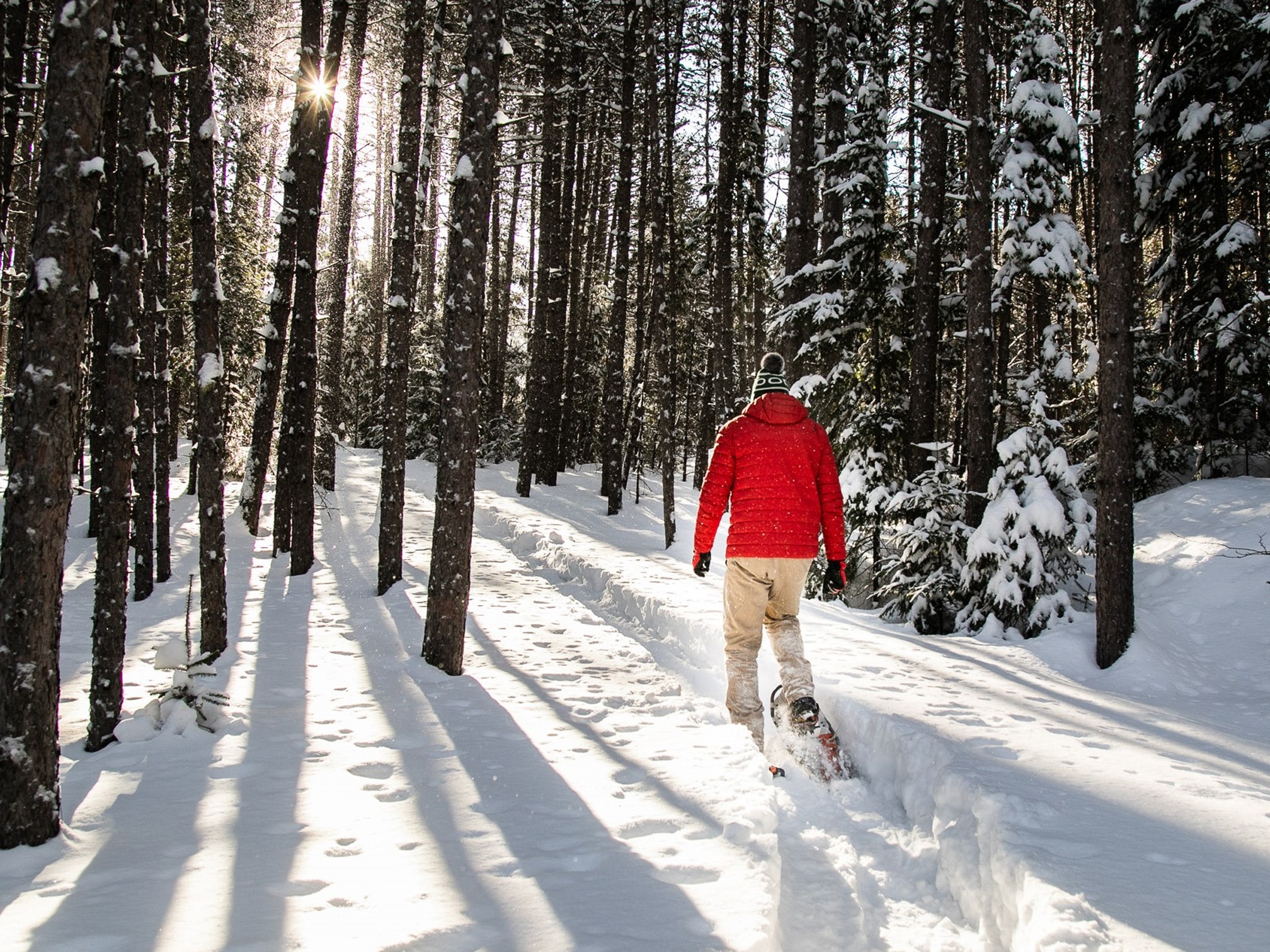 Home - The Great Canadian Wilderness