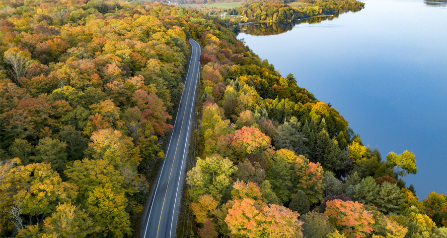 Best algonquin trails for fall colours sale