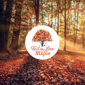 Fall in Love With Maple event listing image