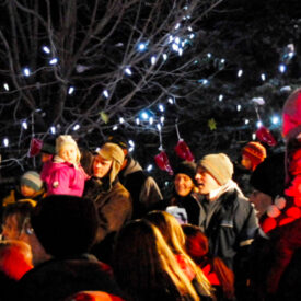 Santa's Festival of Lights event listing image