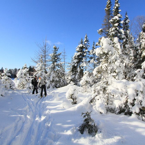 Voyageur Quest winter offer image
