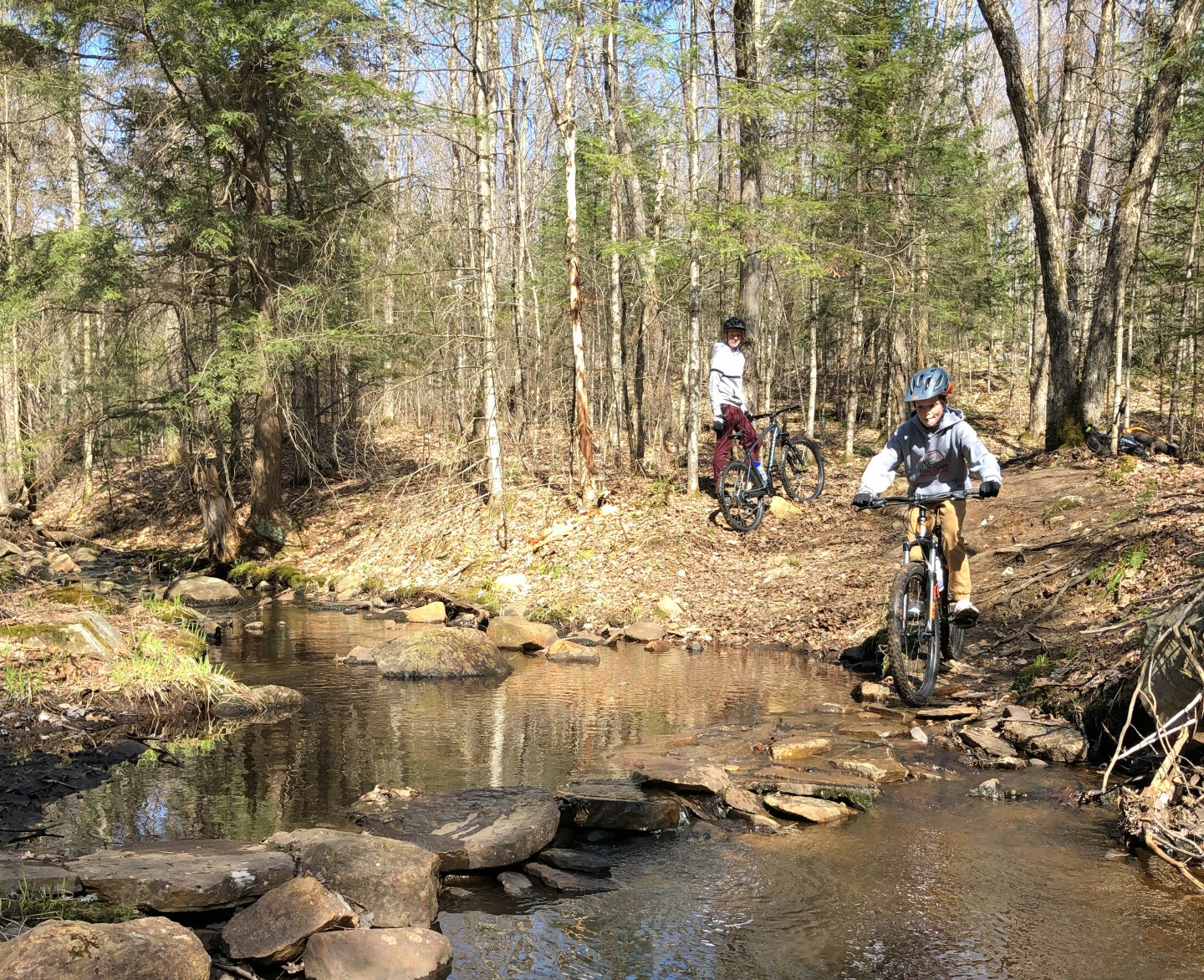 Hurd state discount park mountain biking