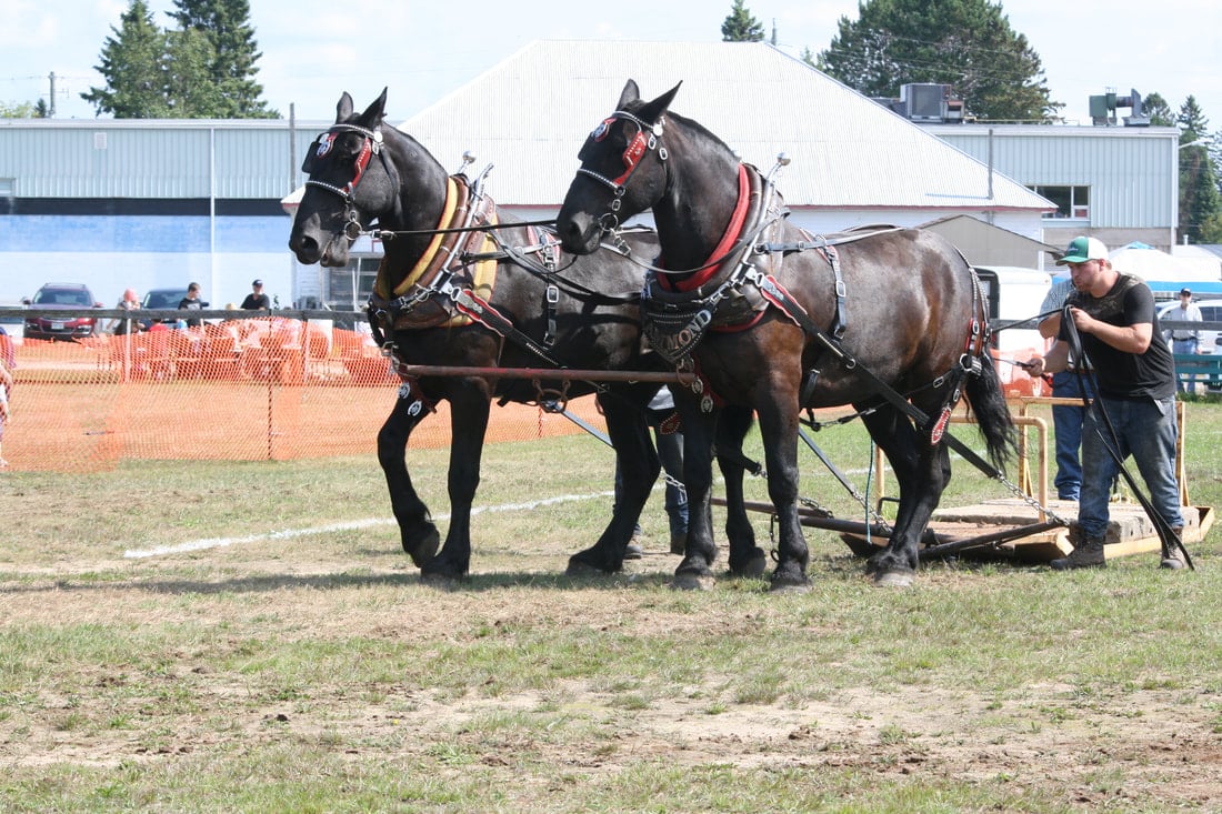 Fall Fairs in Ontario's Cottage Country