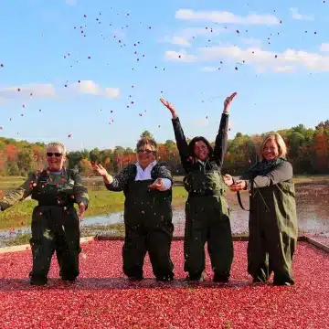 johnstons-cranberry-plunge - women wearing hip weighter in cranberry marsh