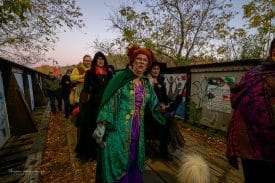 Halloween costume withces in Downtown Parrysound,