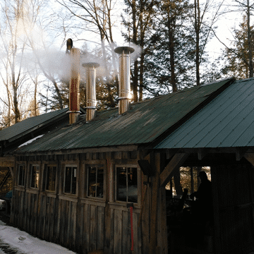 Tapping into tradition - Spring Maple Syrup Package 2026