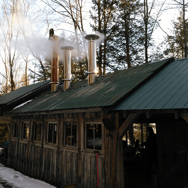 Tapping into tradition - Spring Maple Syrup Package 2026