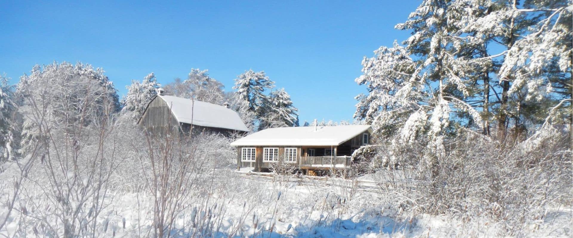 Orginal Homestead log cabin at Brooklands Farm Muskoka
