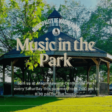music in park poster