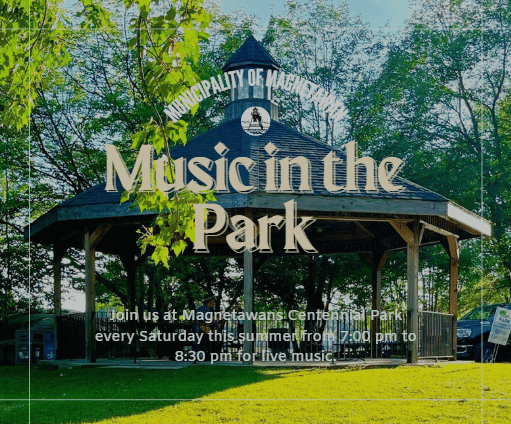 music in park poster
