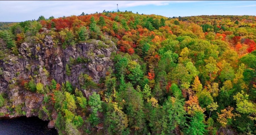 fall colours on cliff